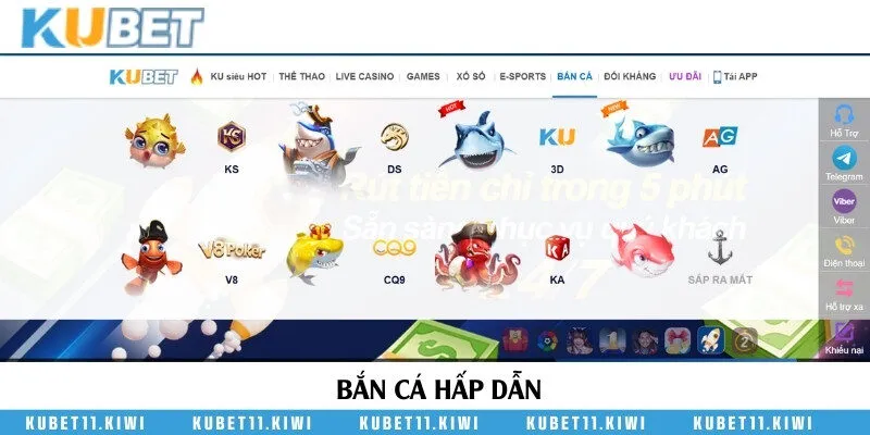 Bắn cá hấp dẫn