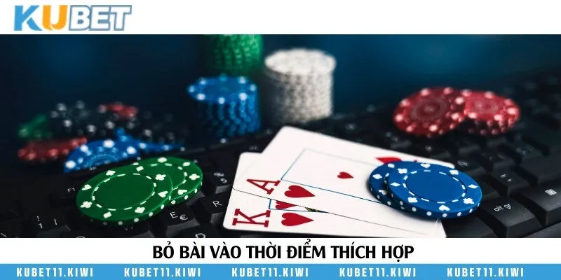 Bỏ bài vào trường hợp quan trọng