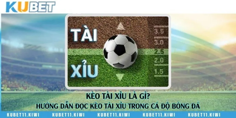 Kèo tài xỉu là gì? Hướng dẫn đọc kèo tài xỉu trong cá độ bóng đá