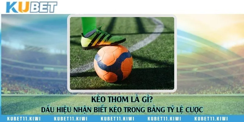 Kèo thơm là gì? Dấu hiệu nhận biết kèo trong bảng tỷ lệ cược