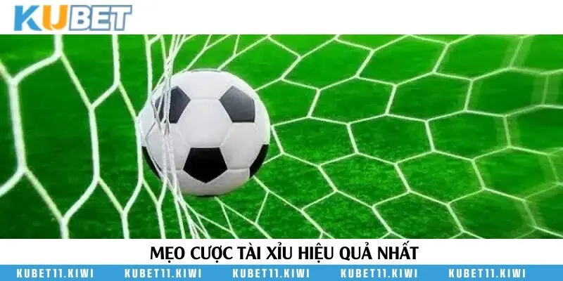 Chia sẻ bí kíp cược tài xỉu trong bóng đá hiệu quả