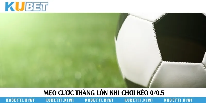 3+ mẹo đặt cược hiệu quả khi tham kèo 0/0.5 tại nhà cái Kubet11