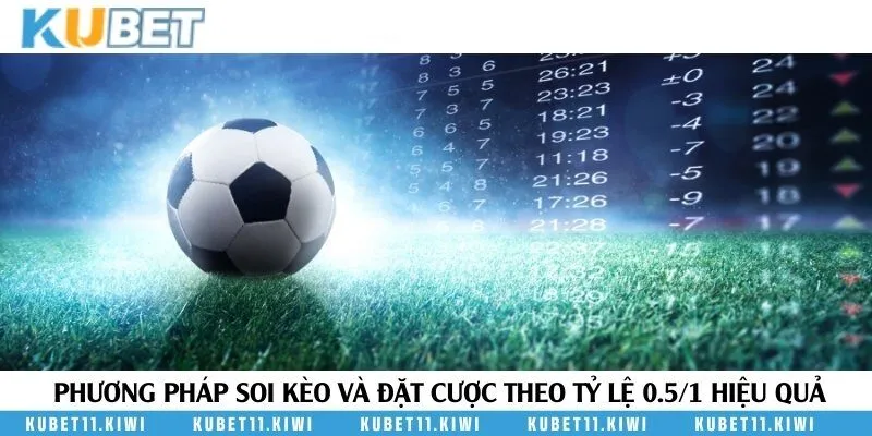 Chia sẻ phương pháp soi kèo bóng đá 0.5/1 chắc thắng