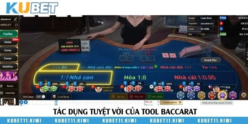 Có nên sử dụng tool hỗ trợ khi đặt cược không?