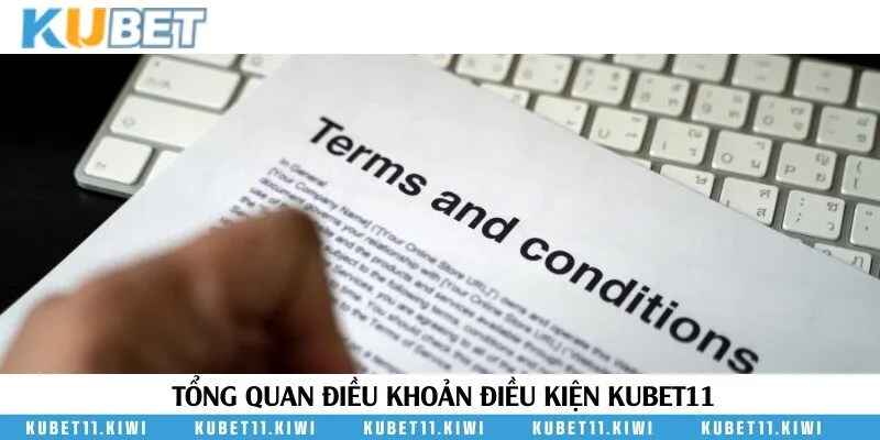 Thông tin mới nhất về quy định điều khoản và điều kiện của nhà cái trực tuyến