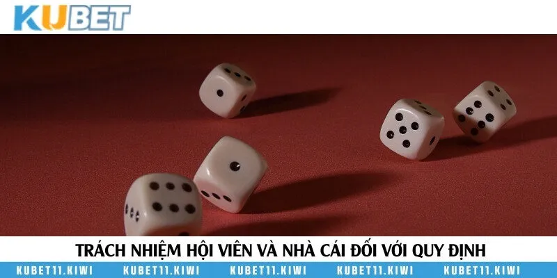 Trách nhiệm của người chơi và nhà cái khi tuân thủ chính sách miễn trừ