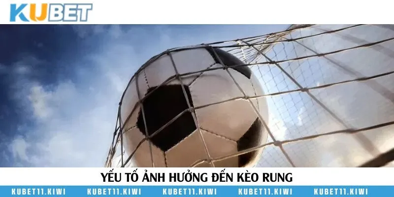 Những yếu tố có thể ảnh hưởng đến kết quả kèo rung khi tham gia đặt cược